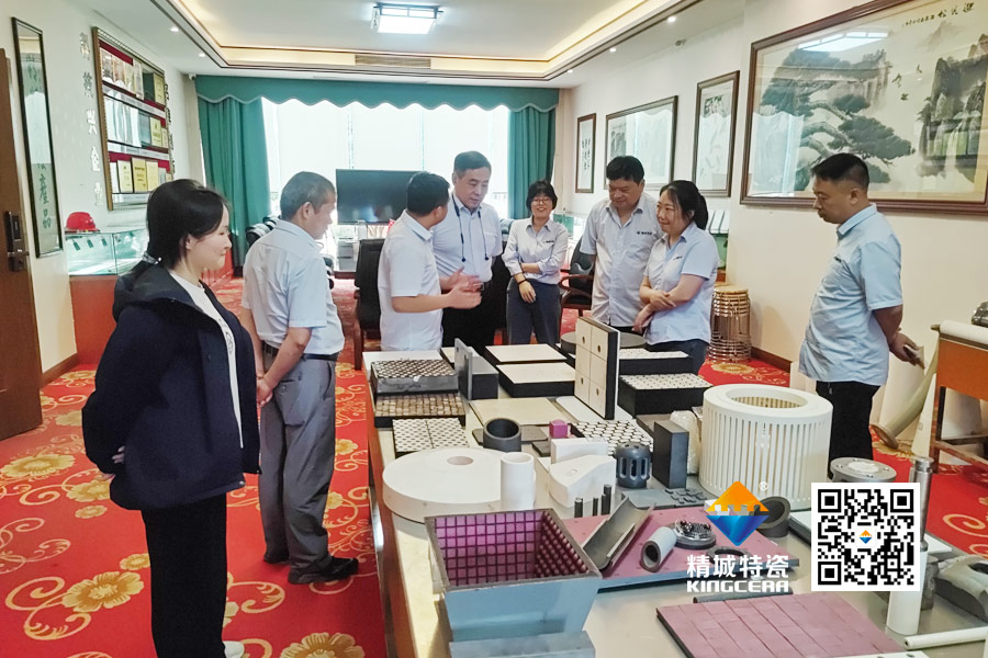 清华大学潘伟教授到访4008云顶集团特瓷